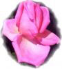 Al Ceras's picture