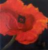 oilartist's picture