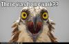 IMaude's picture