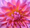 Nancycg's picture