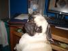 MiniMax's picture