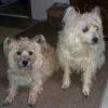 pjsemail1's picture