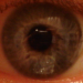 =><= hail eris!'s picture