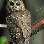 mdhess's picture