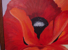 illustrator5's picture