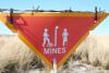 Brian Papineau's picture