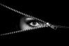 Sentient's picture