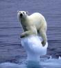 Ursel Twing's picture