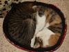 Moose N Squirrel's picture