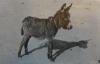 PipeWrench's picture