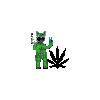 DdC's picture
